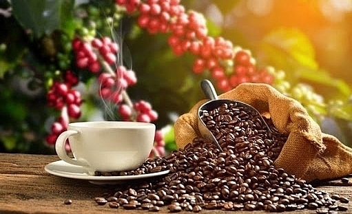 Giá cà phê hôm nay 19/8/2022: Điều chỉnh giảm nhẹ, điều gì ngăn cản sức tăng giá cà phê?