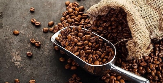 Giá cà phê hôm nay 1/10/2022: Liên tục "nhảy múa", cà phê trong nước về dưới 47.000 đồng/kg
