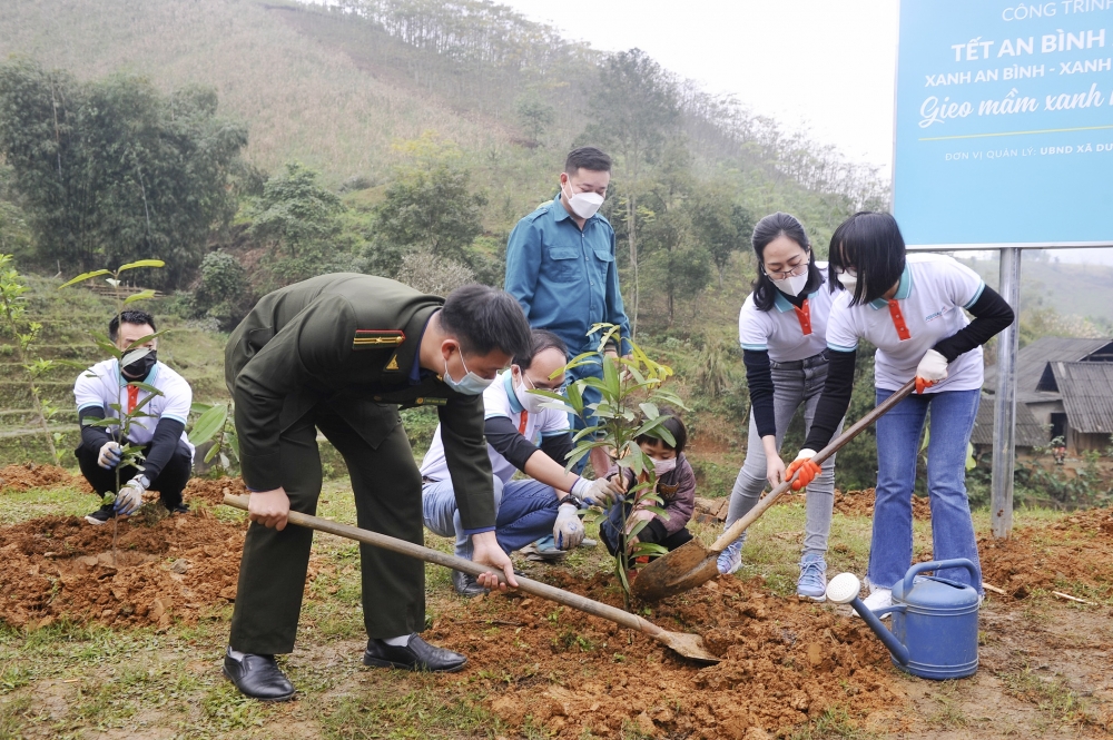 Chung tay trồng rừng phòng hộ ven biển ở Tiền Giang