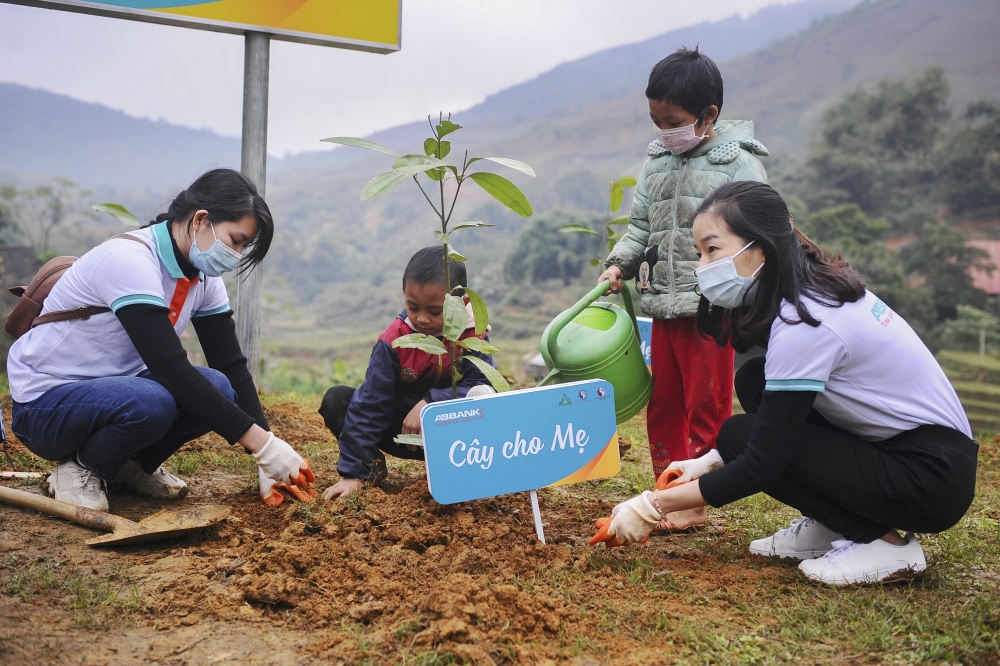 Chung tay trồng rừng phòng hộ ven biển ở Tiền Giang