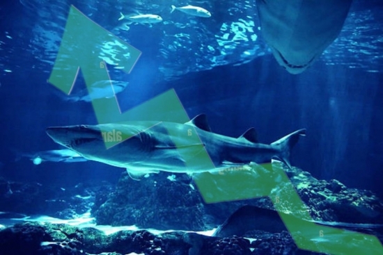 Dòng tiền cá mập giao dịch 22.000 tỷ đồng, VN-Index liên tục "đổi màu"