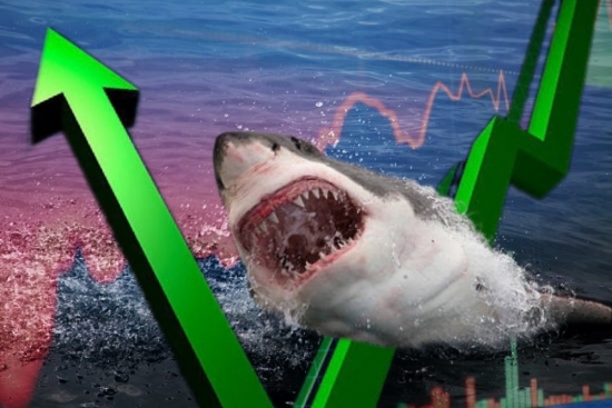 Dòng tiền cá mập đẩy mạnh lực mua, VN-Index phục hồi sát mốc 1.100 điểm