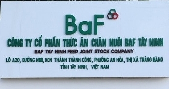 BAF Việt Nam có quý đầu tiên báo lỗ kể từ khi niêm yết