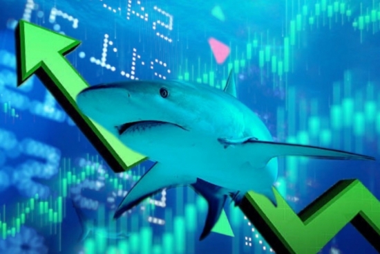 VN-Index vượt ngưỡng kiểm định 1.270 điểm, dòng tiền cá mập "đua nhau" đổ bộ thị trường