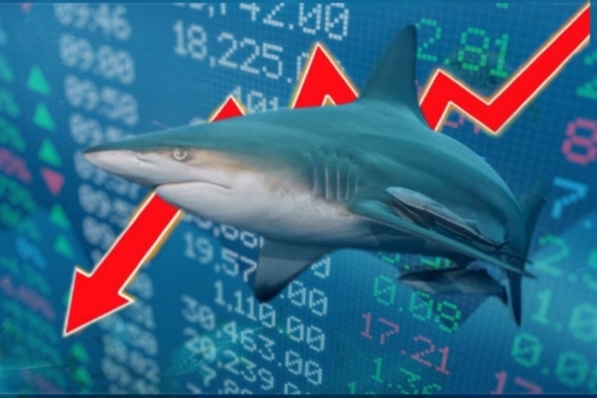 Thị trường "gãy" nhịp tăng điểm, dòng tiền cá mập "tất tay" chốt lời