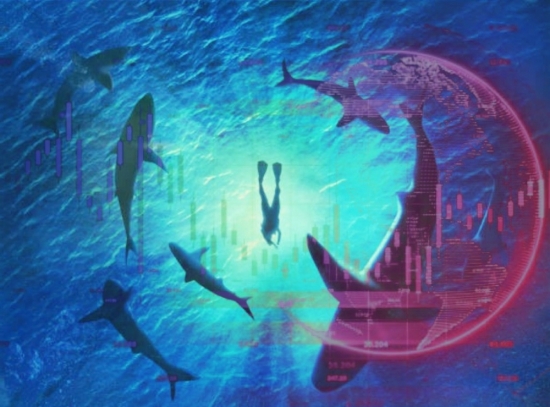 Dòng tiền cá mập đua nhau "xả hàng", thị trường chuyển xanh sang đỏ