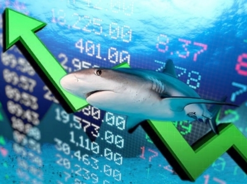 Dòng tiền cá mập đổ bộ cuối ngày, VN-Index trả điểm yếu ớt