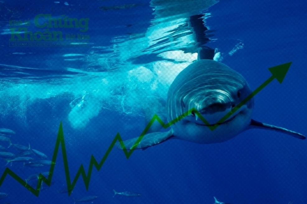 Dòng tiền cá mập tích cực gom hàng, VN-Index có phiên khởi sắc