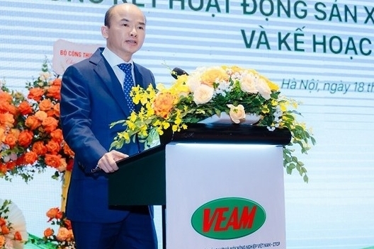 Tổng Giám đốc Phan Phạm Hà bị khởi tố, cổ phiếu VEA "lao dốc" cùng đà bán tháo từ khối ngoại