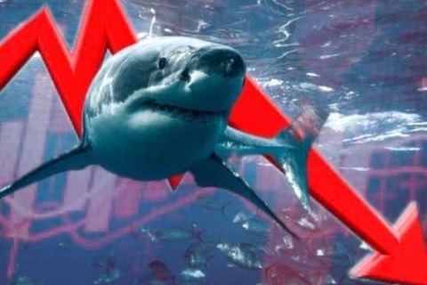Chứng khoán nhuốm đỏ, dòng tiền cá mập giao dịch tại HPG với hơn 1.000 tỷ đồng