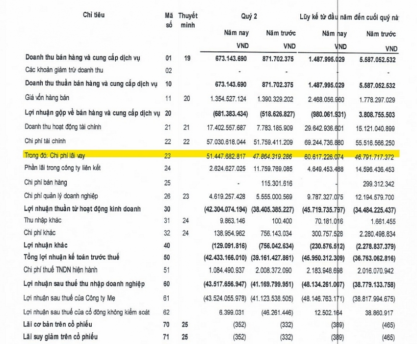 Nửa đầu năm 2024, DRH đi vay 376 tỷ đồng để trả gần 367 tỷ đồng nợ gốc vay