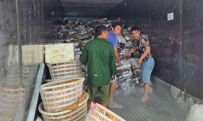 Kho lạnh chứa hơn 25 tấn mực, sách bò, chân gà hôi thối ở Quảng Ninh