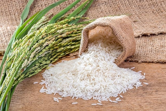 Giá lúa gạo hôm nay 24/2: Một số giống lúa, nếp tiếp tục điều chỉnh tăng