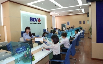 BIDV đồng hành cùng doanh nghiệp, hỗ trợ tín dụng với lãi suất ưu đãi