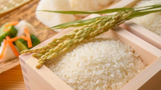 Giá gạo hôm nay 4/1: Gạo Việt xuất khẩu lập đỉnh mới