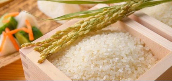 Giá gạo hôm nay 8/4/2021: Gạo xuất khẩu lùi về mức 505 - 510 USD/tấn