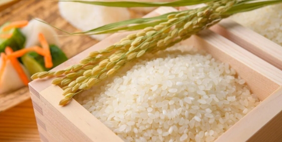 Giá gạo hôm nay 9/12: Tăng nhẹ 200 - 300 đồng/kg