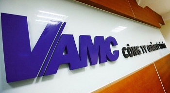 VAMC tự đấu giá khoản nợ của Công ty Bình Lý, giá khởi điểm 46,5 tỷ đồng
