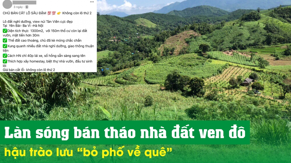 Làn sóng bán tháo nhà đất ven đô hậu trào lưu “bỏ phố về quê”