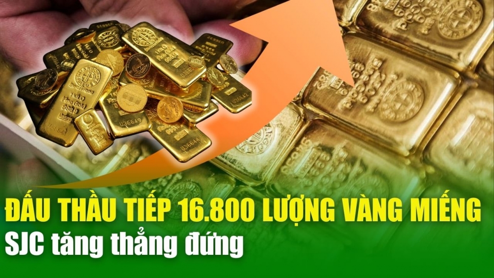 BẢN TIN KINH TẾ 25/4: Tiếp tục đấu thầu 16.800 lượng vàng miếng, SJC tăng thẳng đứng